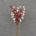 15" BERRY PICK RED/WHITE
