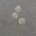 13" PINECONE PICK X3 W/ ICE WHITE