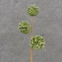 13" PINECONE PICK X3 W/ ICE GREEN