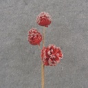13" PINECONE PICK X3 W/ ICE RED