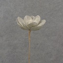 17&quot; GLITTER MAGNOLIA BLOOM PICK PLATINUM
