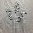30" FROSTED SPIRAL SPRAY X3 BLACK/WHITE