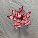 21" CANDYCANE POINSETTIA PICK RED/WHITE