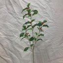 25" HOLLY SPRAY X3 VARIGATED (41 LVS)