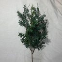 20.5" FERN SPRAY X8 GREEN