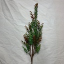31.5" EUCALYPTUS STEM GREEN/RED