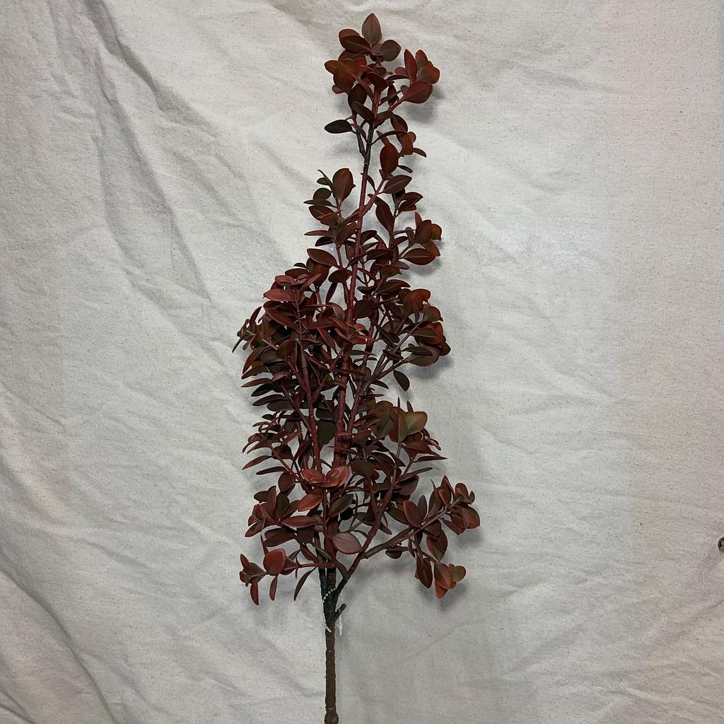 37" EUCALYPTUS STEM RED