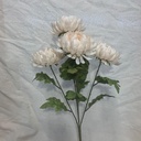 20" MUM BUSH X5 CREAM