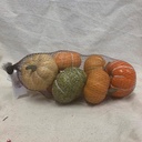 ASSORTED PUMPKINS IN BAG