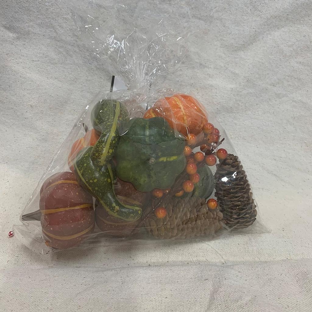 PUMPKIN, GOURD & CONES IN BAG