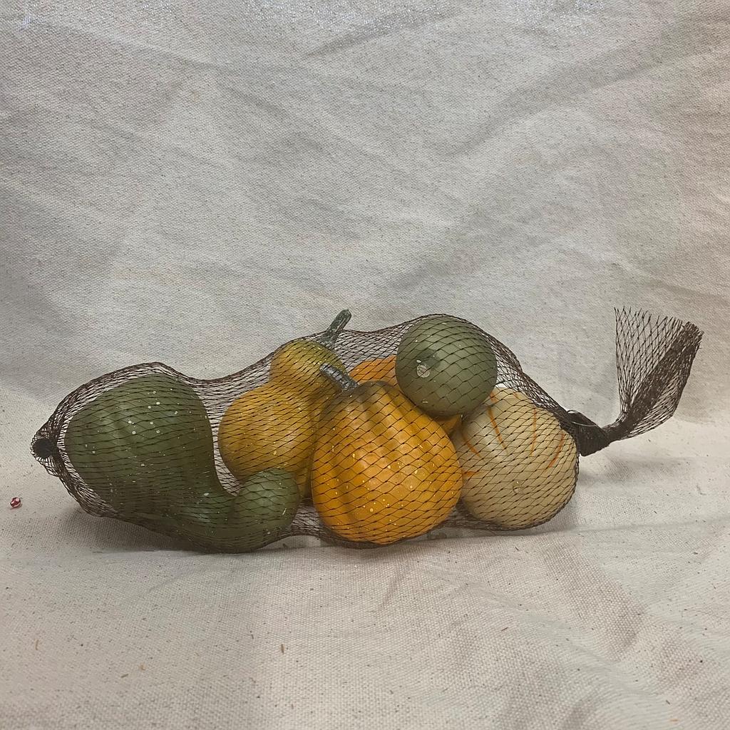 PUMPKINS & GOURDS IN BAG