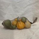 PUMPKINS & GOURDS IN BAG