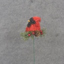 5.75" NATURAL MATERIAL CARDINAL PICK
