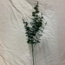 38.5" EUCALYPTUS SPRAY FROSTED GREEN