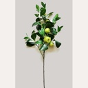 35" APPLE & LEAF SPRAY GREEN