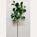 35" FICUS LEAF SPRAY