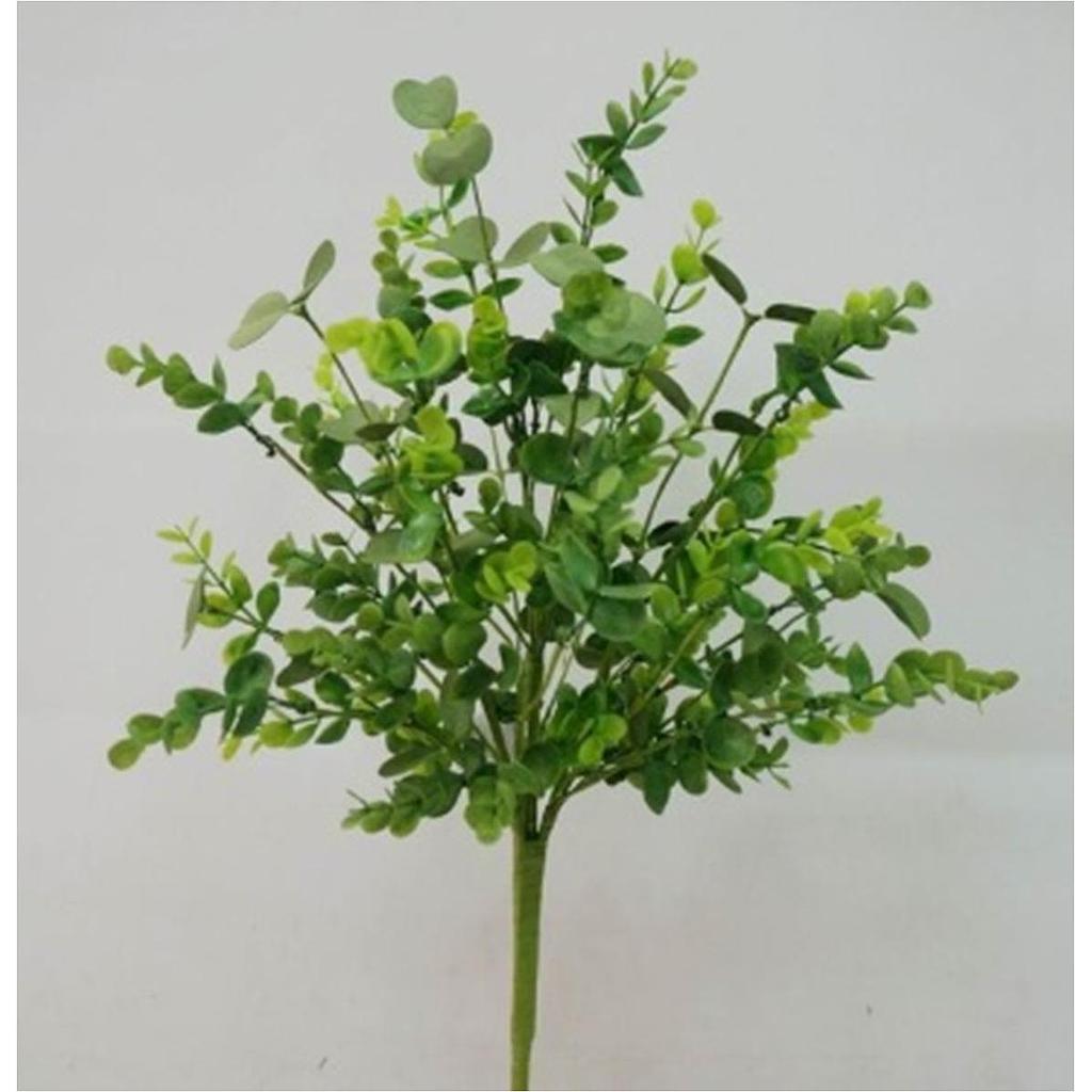21" EUCALYPTUS BUSH