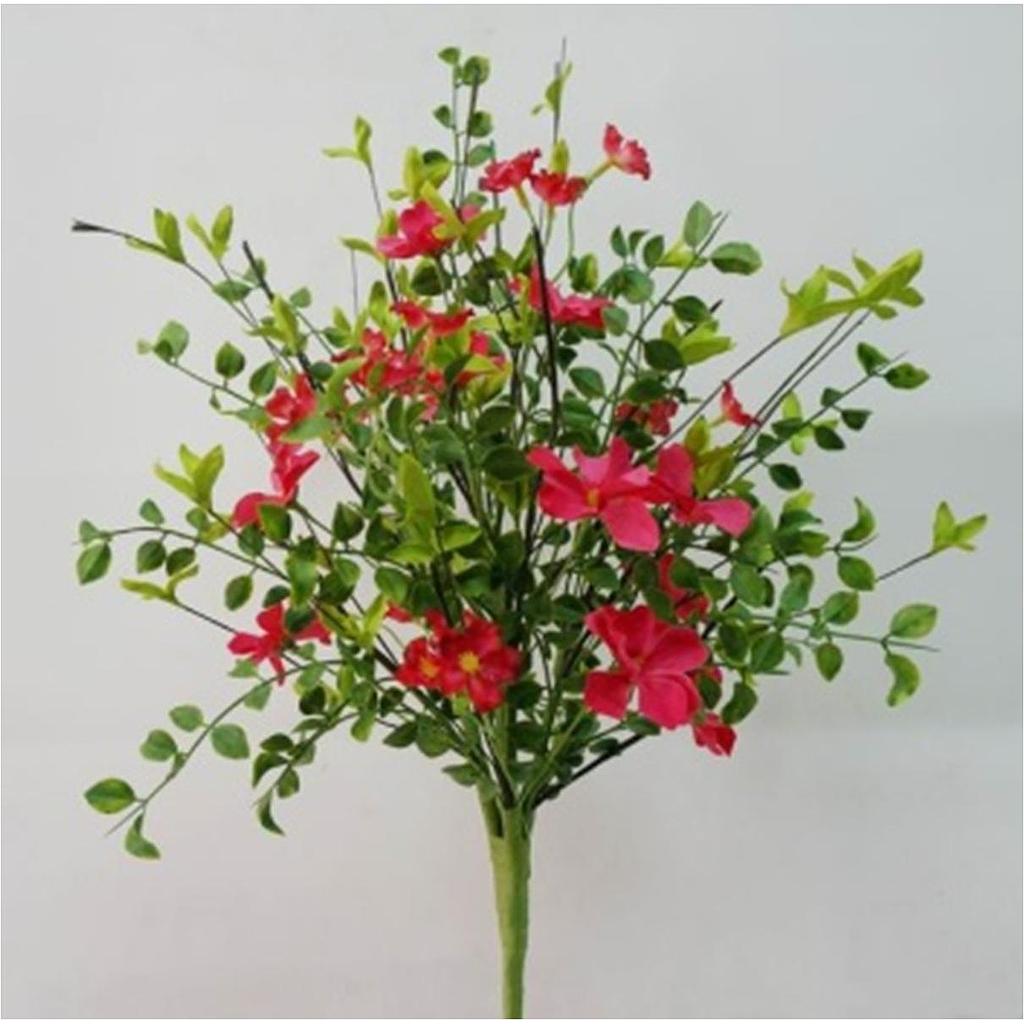 23" EUCALYPTUS & DAISY BUSH BEAUTY