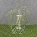 33" SEEDED HANGING GRASS VINE