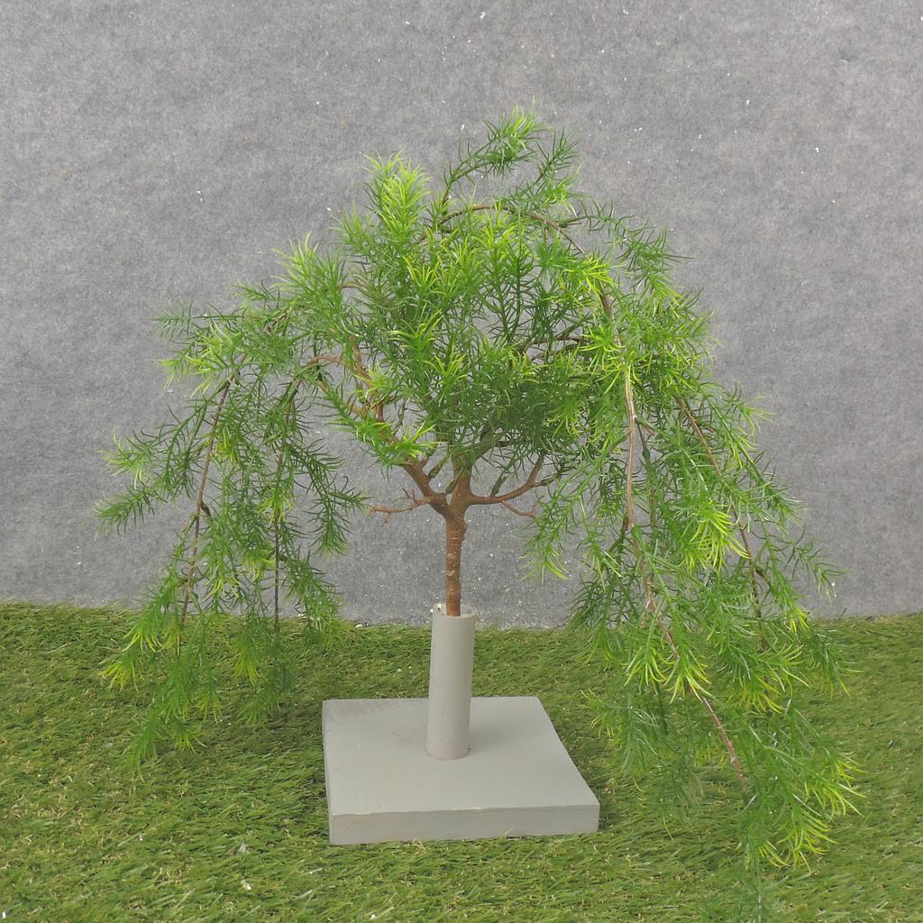 30" HANGING ASPARAGUS FERN BUSH