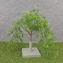 30" HANGING ASPARAGUS FERN BUSH