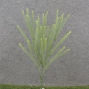 20.5" FOXTAIL GRASS FERN BUSH X3