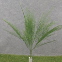 19" CYPRESS BUSH X7 DARK GREEN 