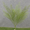 19" CYPRESS BUSH X7 GREEN