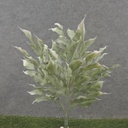 16" FICUS LEAF BUSH X5 GREEN/WHITE