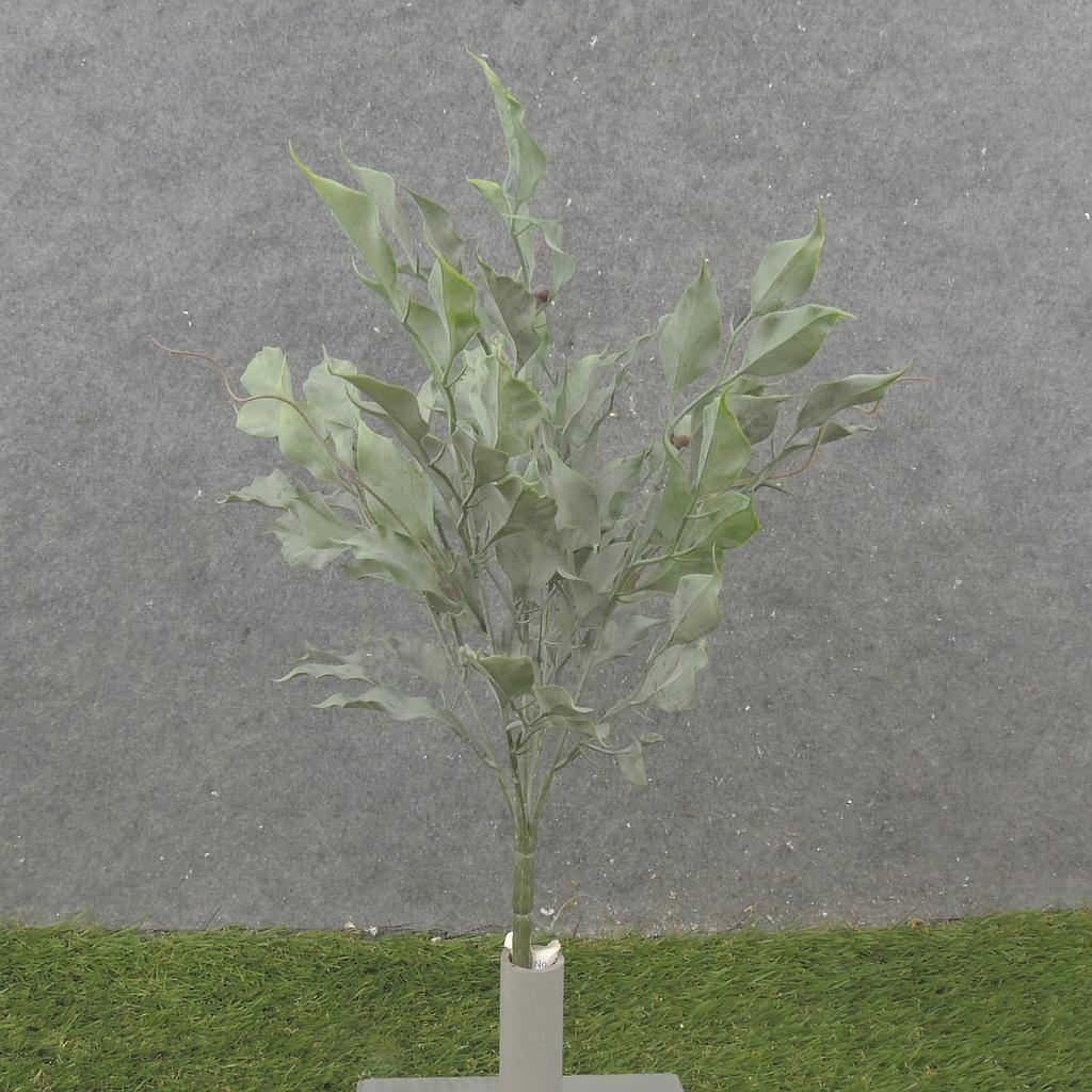 [SB2317-GRN] 16" FICUS LEAF BUSH X5 GREEN