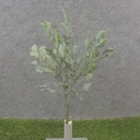 16" FICUS LEAF BUSH X5 GREEN