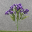 18" DUTCH IRIS BUSH X9 DARK PURPLE
