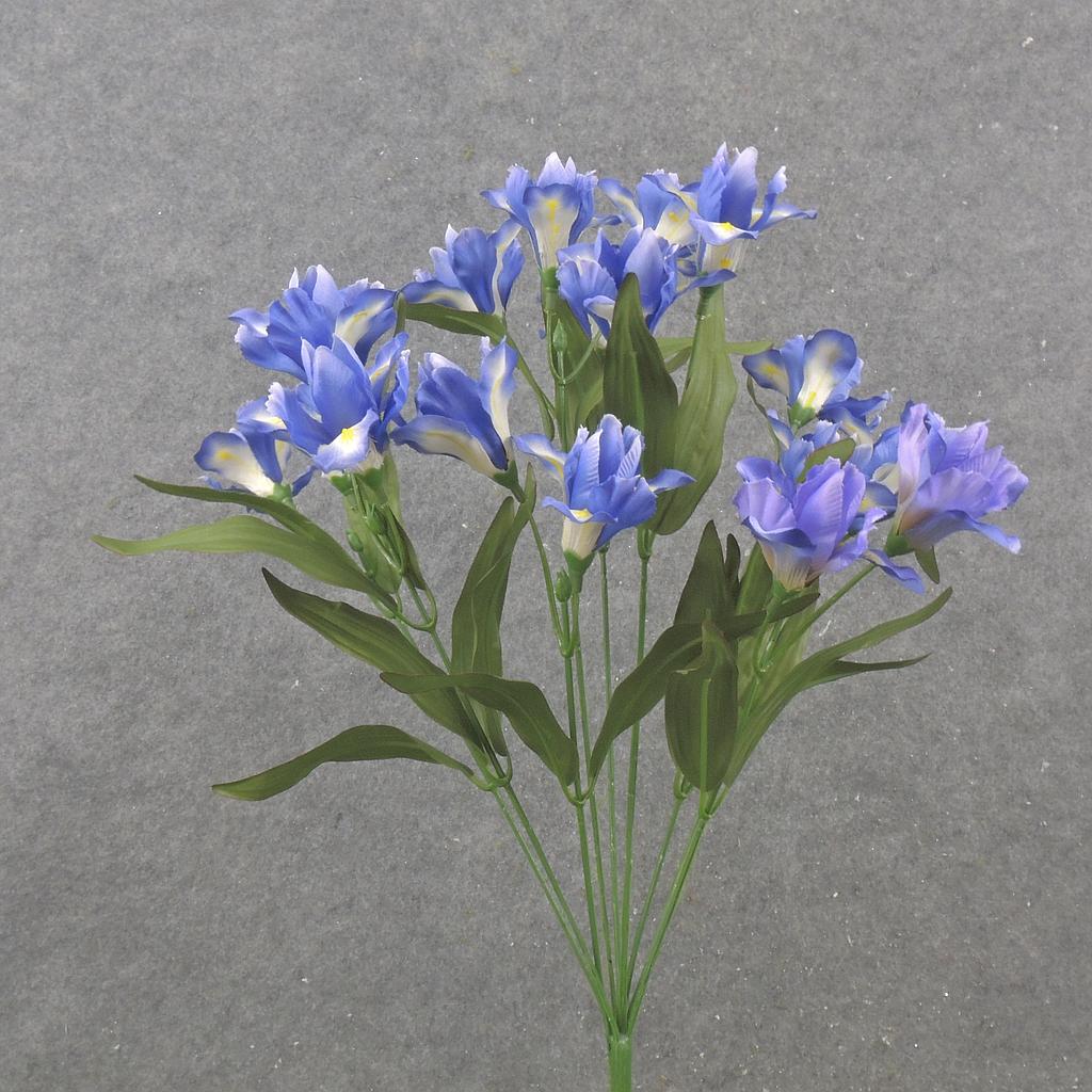 18" DUTCH IRIS BUSH X9 BLUE/WHITE