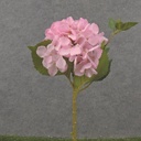 18" HYDRANGEA STEM PINK