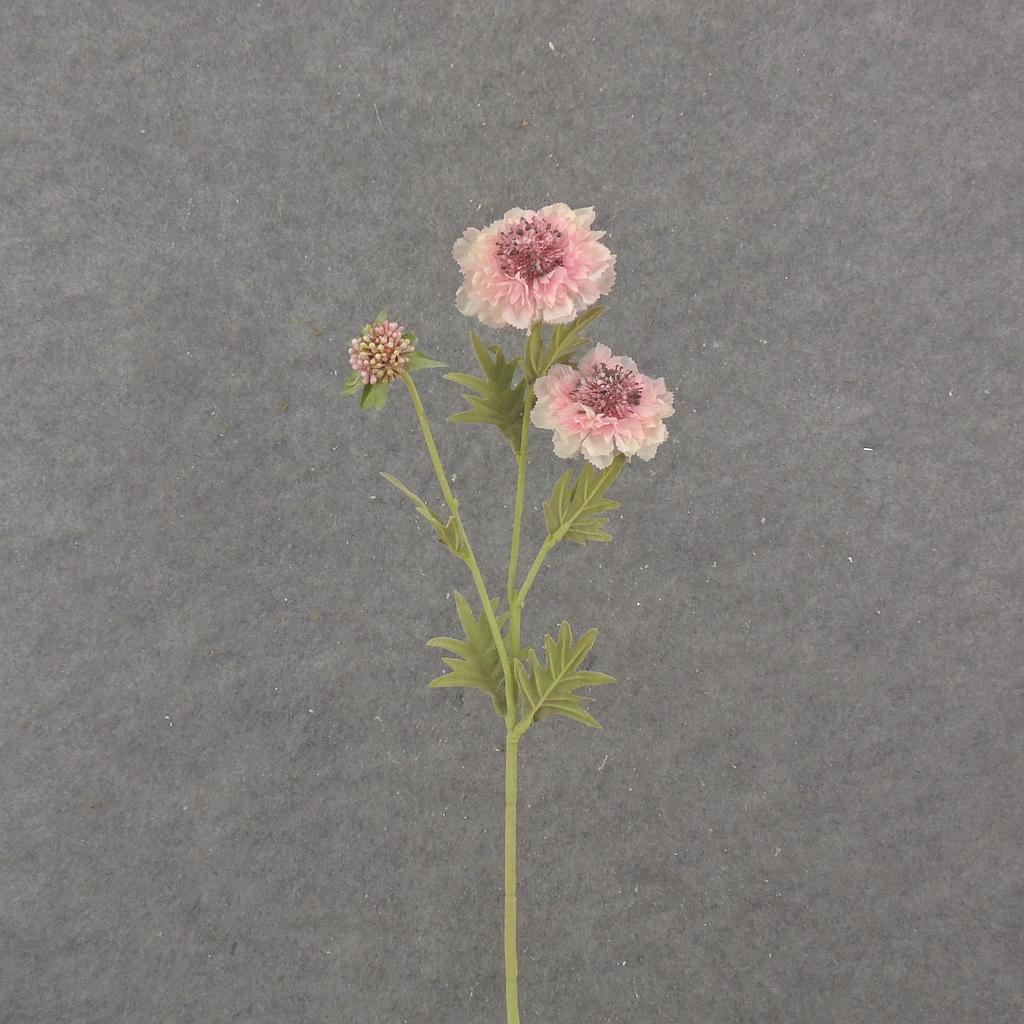 24&quot; SCABIOSA STEM X3 CREAM/PINK