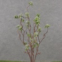 33&quot; TWIG SEDUM STEM BLUE/GREEN