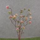 33" TWIG SEDUM STEM PURPLE/GREEN