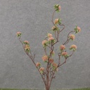 33" TWIG SEDUM STEM PINK/GREEN