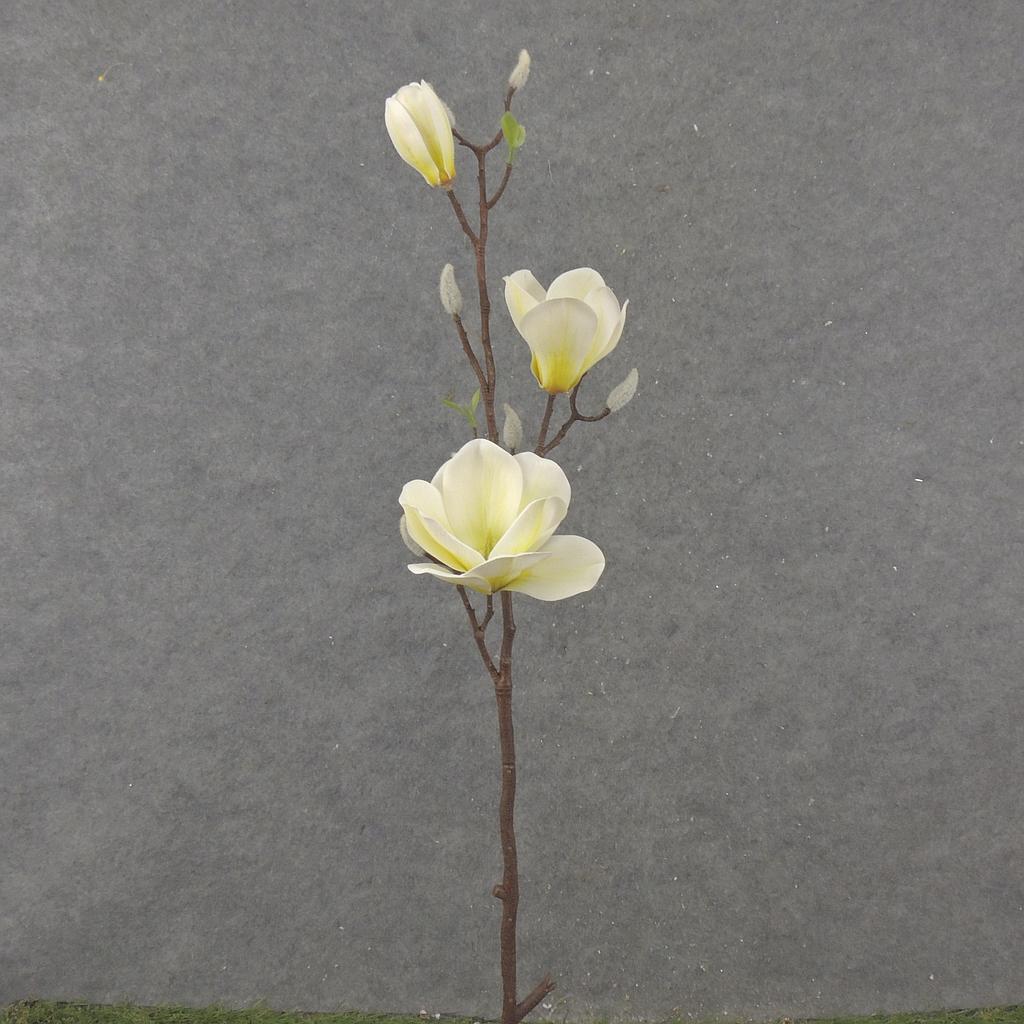 [SB2333-CRM] 31" MAGNOLIA STEM X2 CREAM