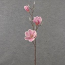31&quot; MAGNOLIA STEM X2 BEAUTY