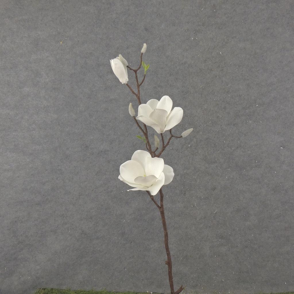 31" MAGNOLIA STEM X2 WHITE