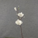 31" MAGNOLIA STEM X2 WHITE