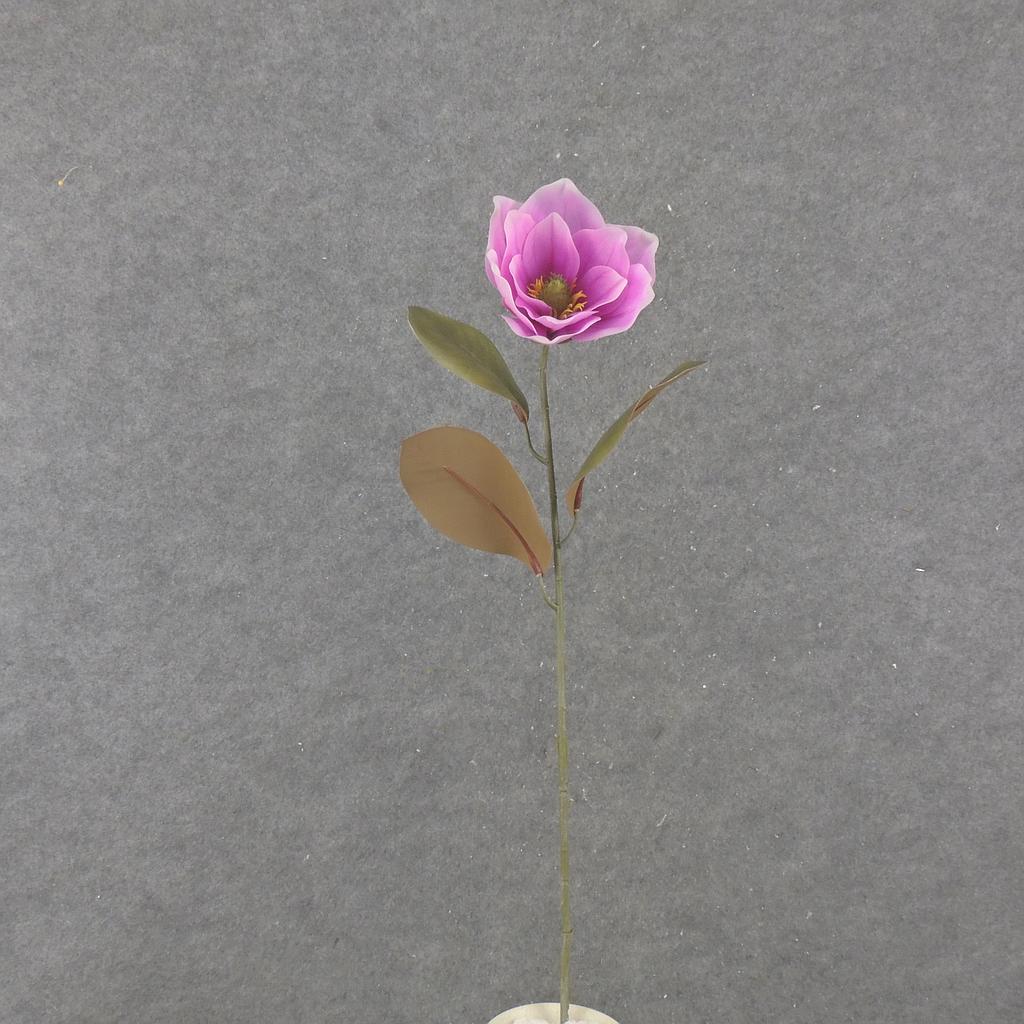 30&quot; MAGNOLIA STEM BEAUTY
