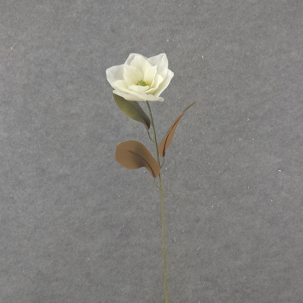 30" MAGNOLIA STEM CREAM/WHITE