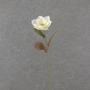 30" MAGNOLIA STEM CREAM/WHITE