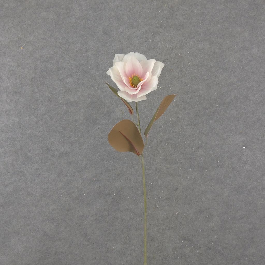 30" MAGNOLIA STEM CREAM/PINK