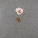 30" MAGNOLIA STEM CREAM/PINK