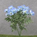 19" COSMOS BUSH X12 BLUE