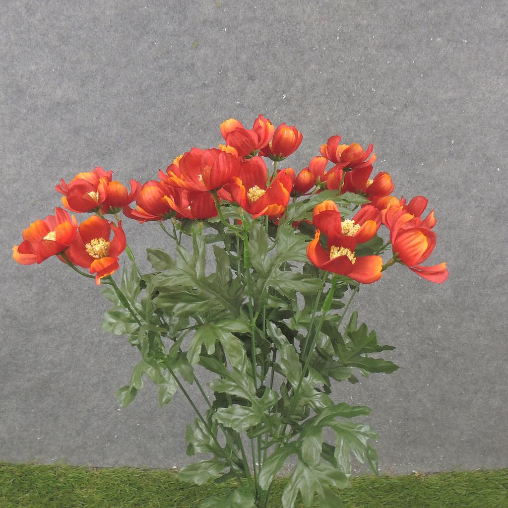 19" COSMOS BUSH X12 RED/ORANGE