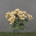 19" COSMOS BUSH X12 BEIGE